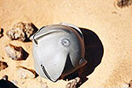 Правителството забрани касетъчните боеприпаси 