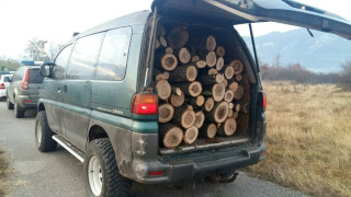 За незаконен превоз на 20 кубически метра иглолистна дървесина вчера