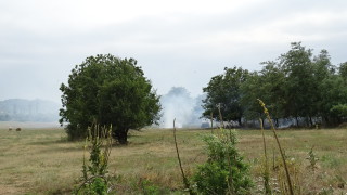 Огън по непредпазливост изгори 100 дка треви