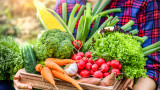 Вегетарианската диета, здравословно хранене и колко са важни за риска от заразяване с Covid-19