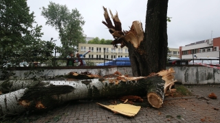 Трима загинали в Полша заради порои и ураганни ветрове