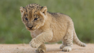 Ресторант в северната китайска провинция Шанси предизвика бурни реакции в