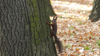 Днес ще духа слаб източен в Източна България до