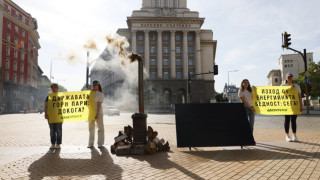 Грийнпийс настоява за балконски слъчневи панели, вместо дърва за огрев