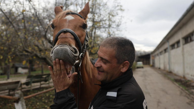 СДВР продава на търг 11 коня от ескадрона си