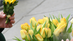 8 март: Две трети от българите ще подарят цвете днес