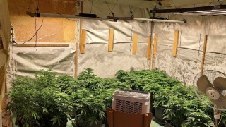 Криминалисти разбиха наркооранжерия в Ракитово