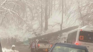 Паднало дърво временно затрудни пътя към хижа Алеко Това съобщиха