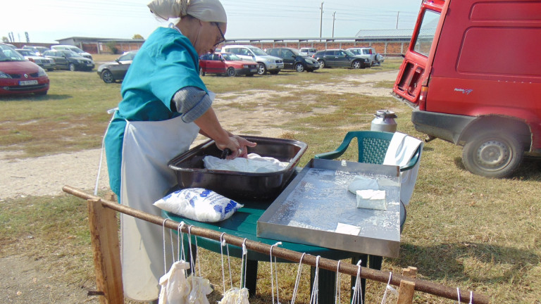 Изображение 383475