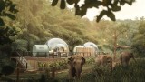  Тайланд, Anantara Golden Triangle Elephant Camp & Resort и нощувките в стъклени балони измежду слонове 
