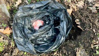 ГДБОП иззе голямо количество метамфетамин при спецакция срещу дрогата в