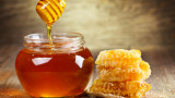  60% по-малко мед сме произвели през 2018 година 