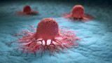  Учени за битката с рака: Туморите имат съвсем безкрайна дарба да се развиват и оцеляват 