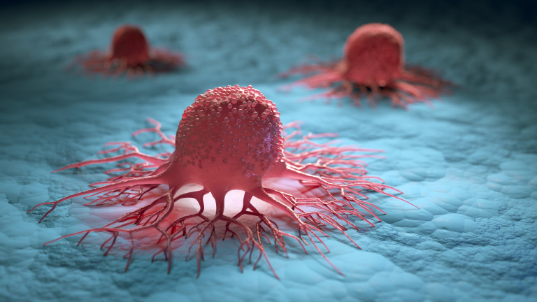 Как раковите клетки се хранят от имунната система