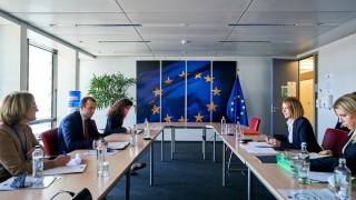 Фандъкова се е загрижила за електробусите и зелените зони