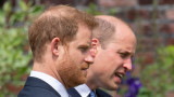 Принц Уилям и принц Хари се събраха в чест на принцеса Даяна