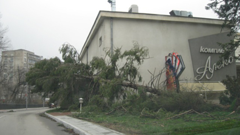 Изображение 144975