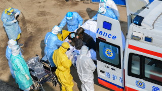 Новият коронавирус е член на семейство коронавируси който никога преди