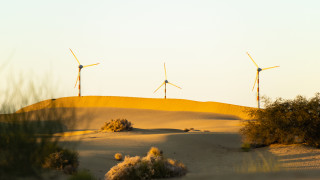 Държавата, която изнася най-много петрол в света, ще построи първата си вятърна ферма