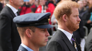 В последните седмици на принц Уилям му е доста натоварено