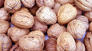 20 тона отровни орехи иззеха в Разград