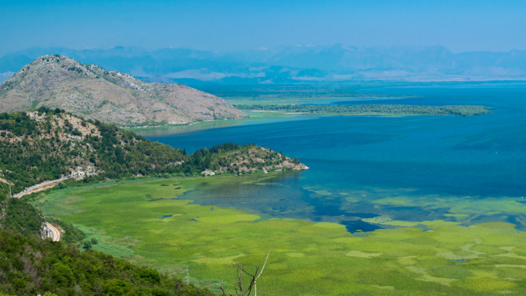 Черна гора решена да бори престъпността след последното нападение