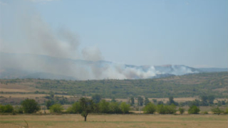 Пожар изпепели над 300 дка в Кюстендилско
