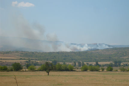 Пожар изпепели над 300 дка в Кюстендилско