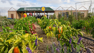 Образователна градина която има за цел да възпитава от най ранна