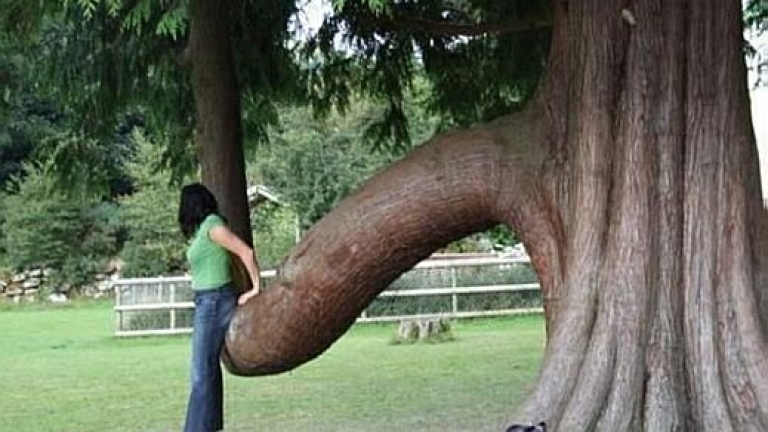 Изображение 75875