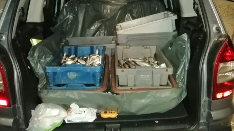 Изображение 596075