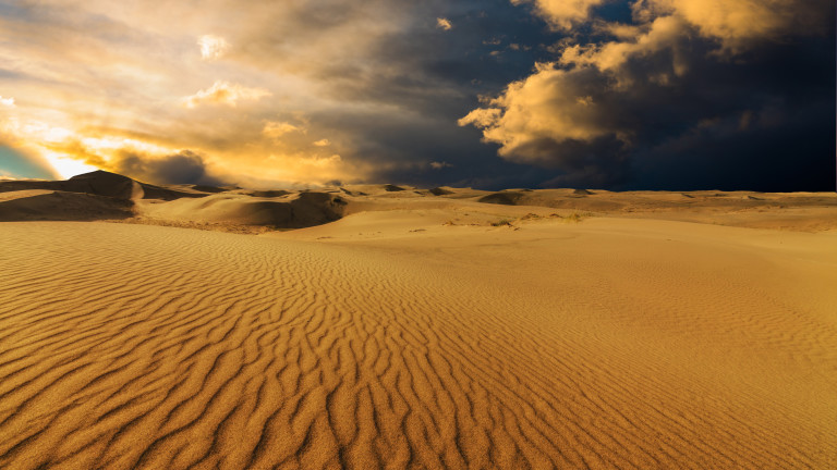 ООН: По-тежките пясъчни и прашни бури опустошават все повече плодородна земя