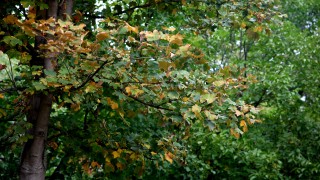 Предимно слънчева неделя