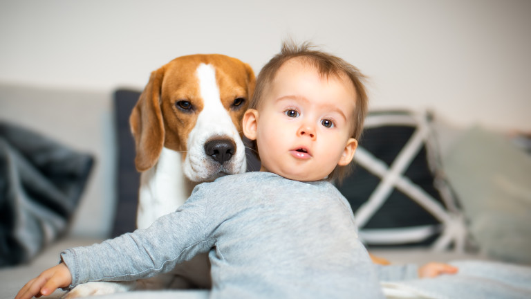Ето защо една кучешка година не е равна на седем човешки