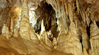 Международна петиция за пещерата Ветреница