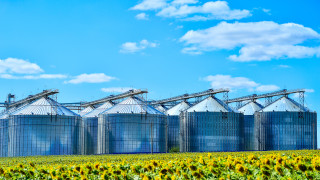 Нов голям завод за преработка на слънчогледово олио в Попово