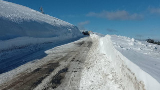 Очаква се в рамките на днешния ден да бъде пуснато