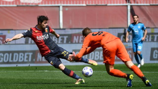 Изображение 528475