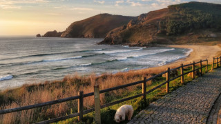 Пътят към Сантяго или Ел Камино де Сантяго де Компостела е