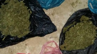 Полицията в Поморие разкри наркооранжерия в Ахелой На 24 октомври