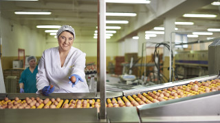 През цялата година Kaufland България предлага продукцията на български производители