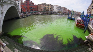 Участък от Канале Гранде на италианския град Венеция стана яркозелен