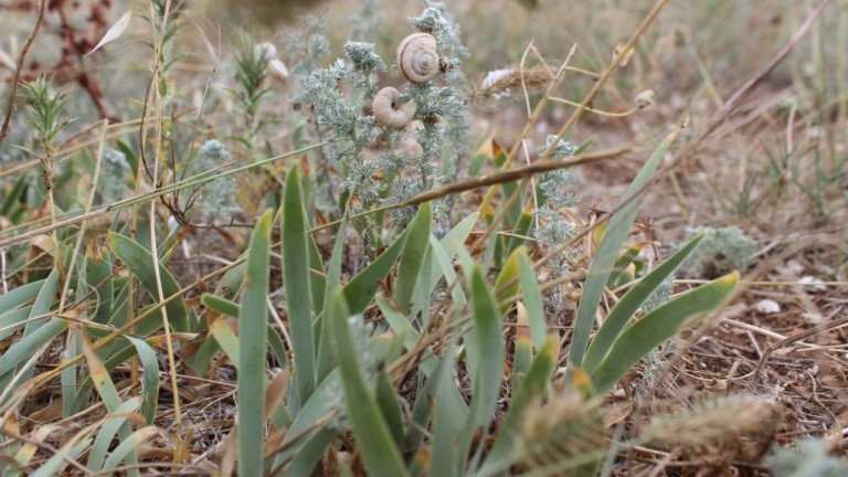 Изображение 430276