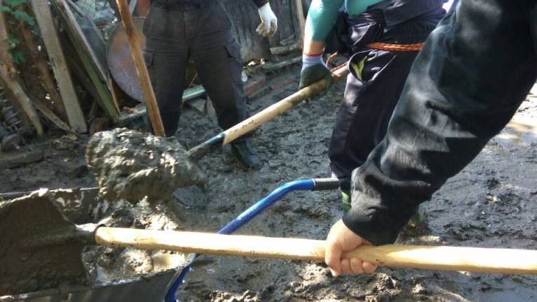 Изображение 320376