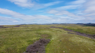Две фирми ЛЪКА ГЕЙМ АД и СЪСТЕЙНАБЪЛ ЕНЕРДЖИ ЕАД