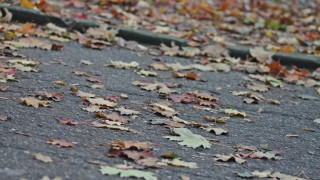 През деня ще духа умерен вятър от изток североизток Това съобщават