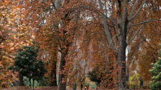 Оранжев код за силен вятър е издаден в 16 области Това