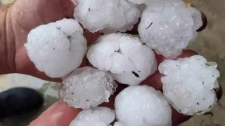 Градушка с големина на мандарина удари Трявна