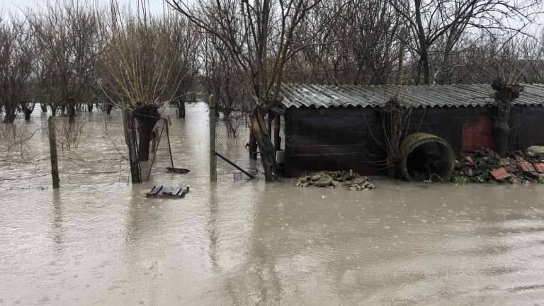 Изображение 752576