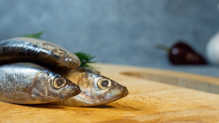 Лято предполага не само много приключения и споделени момент си